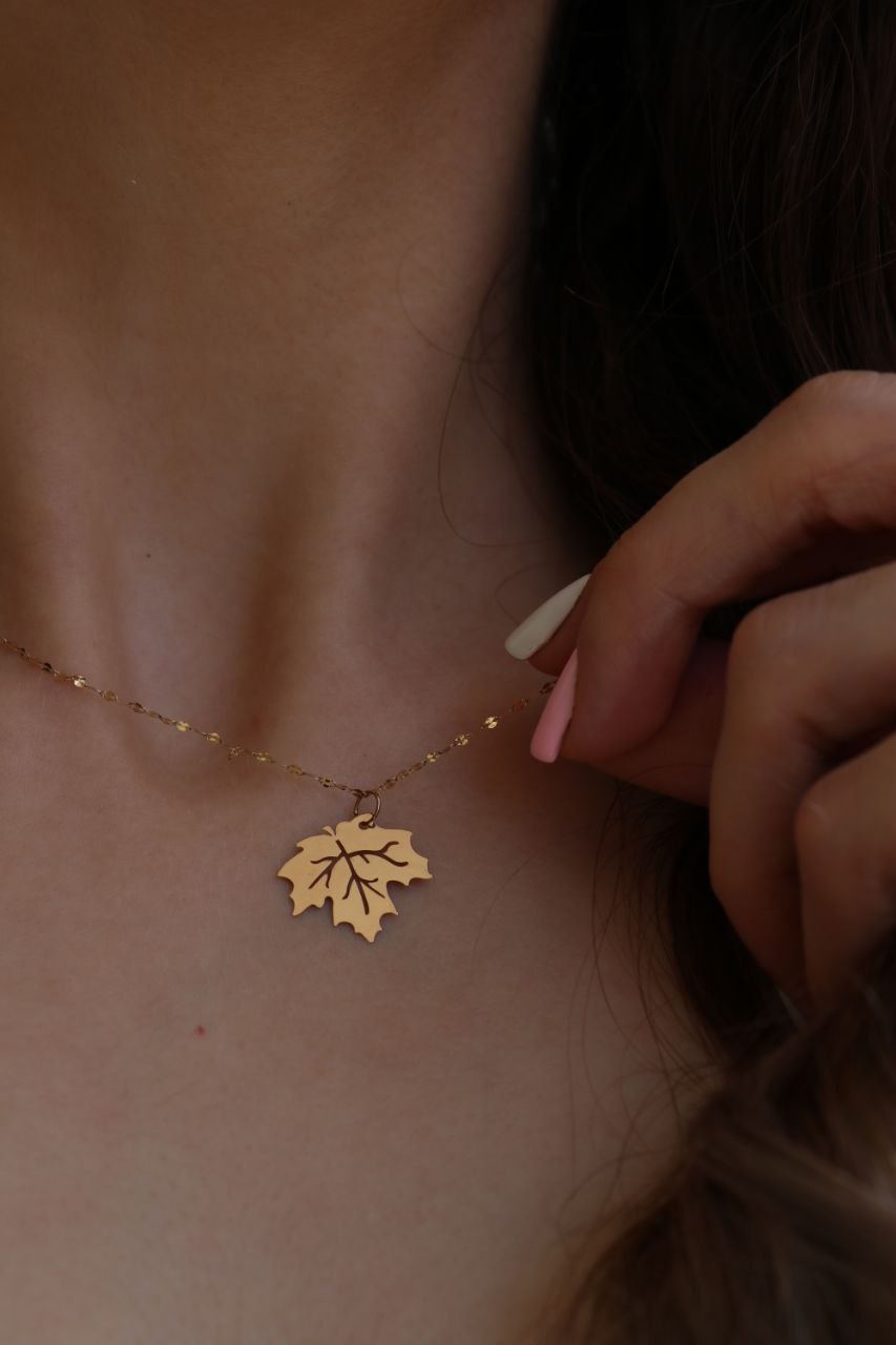 photo_2025-10-12_14-38-41 (2)